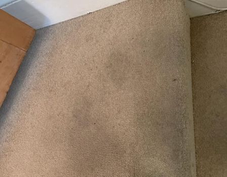 Stained carpets 